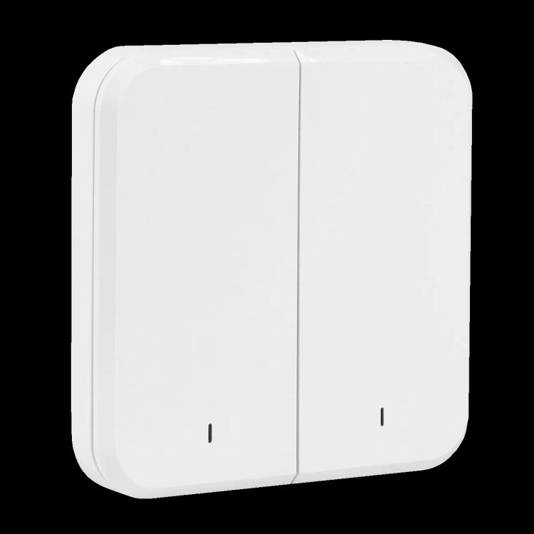 ST-SBR | Двухклавишный беспроводной выключатель